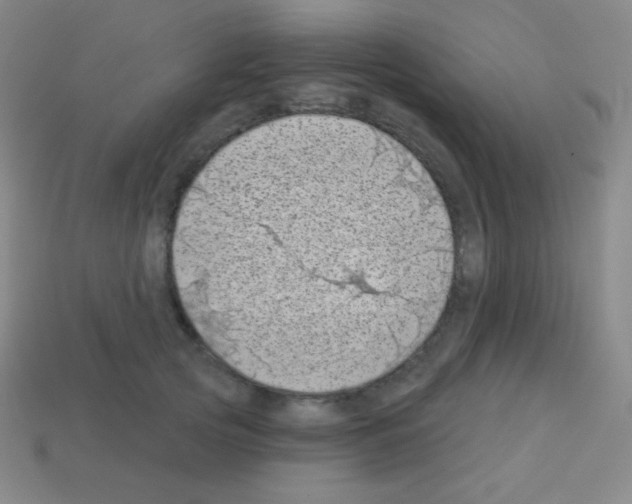 X0000113100753200910091139