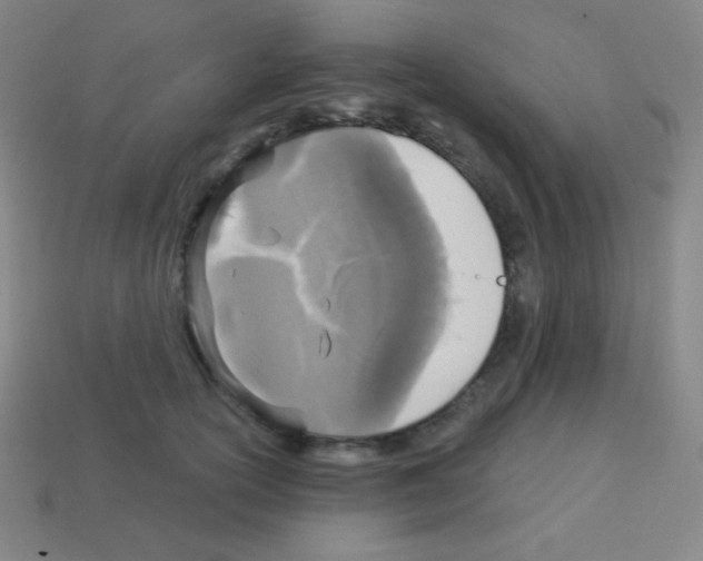 X0000113100754200910091139