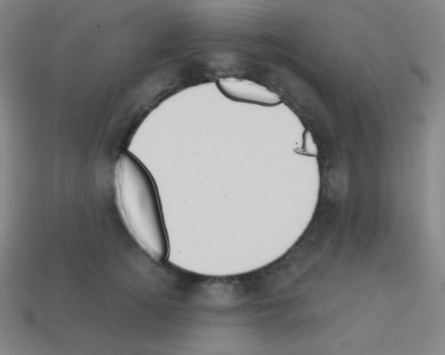 X0000113100756200910091139