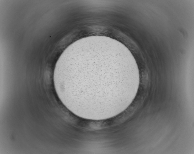 X0000113100757200910091139