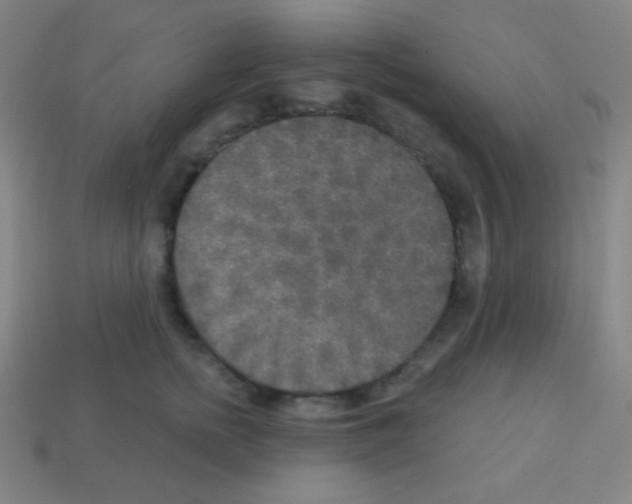 X0000113100758200910091139