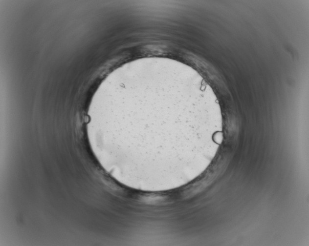X0000113100759200910091139