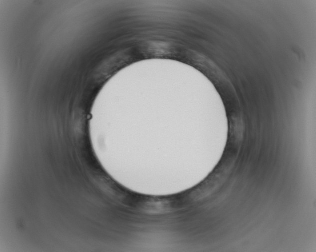 X0000113100760200910091139