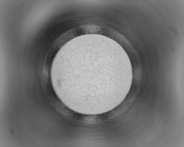 X0000113100761200910091139