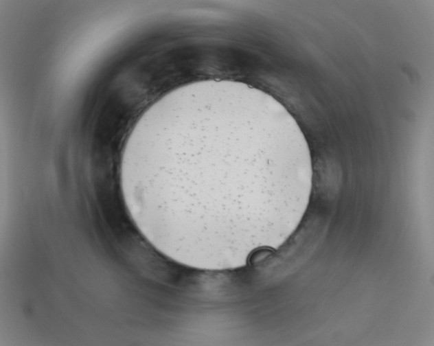 X0000113100762200910091139