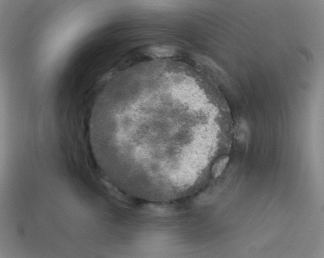 X0000113100763200910091139