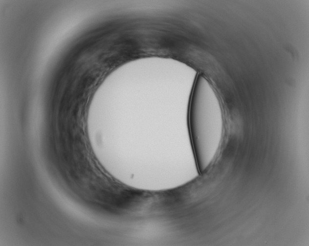 X0000113100764200910091139