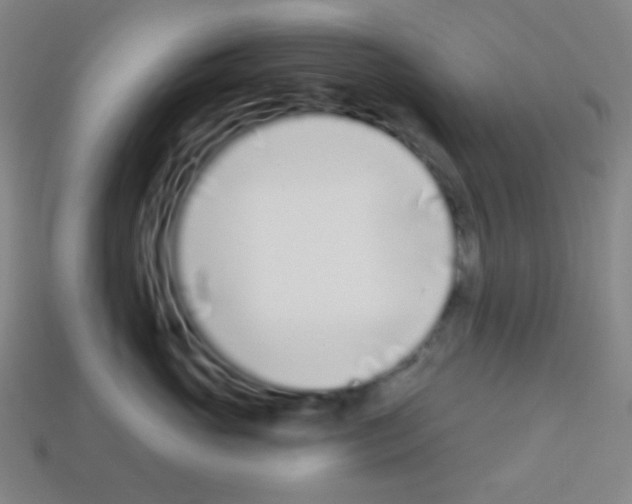 X0000113100765200910091139