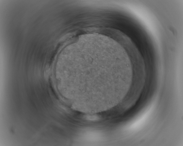X0000113100767200910091139
