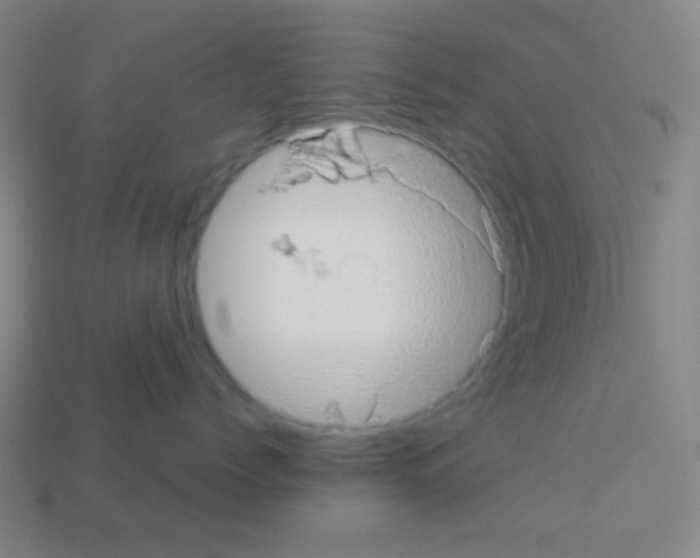 X0000113100768200910091139