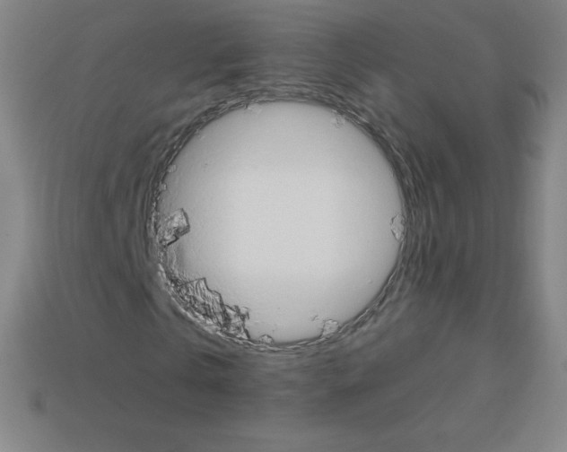 X0000113100769200910091138