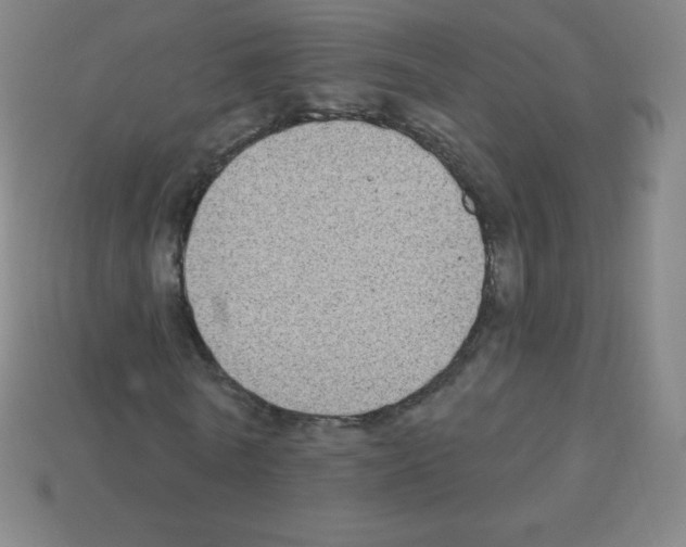X0000113100770200910091138