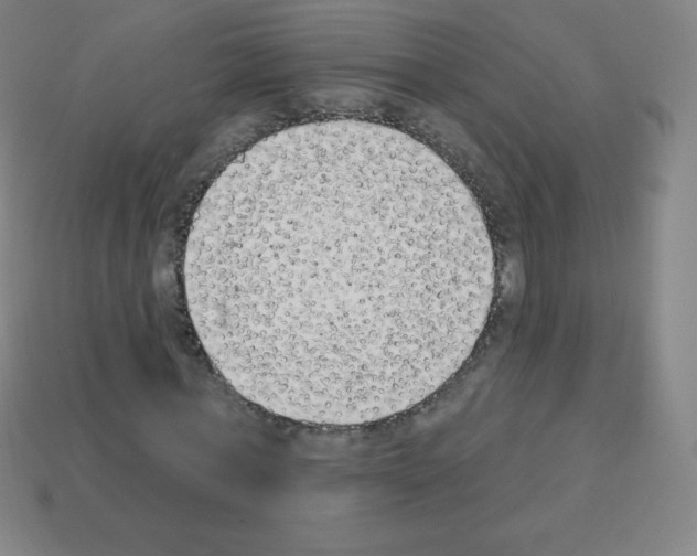 X0000113100771200910091138
