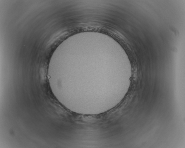 X0000113100774200910091138