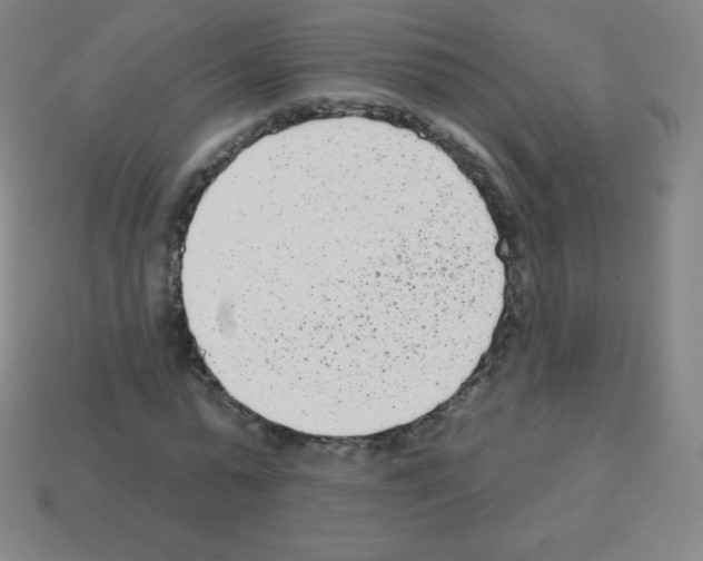 X0000113100775200910091138