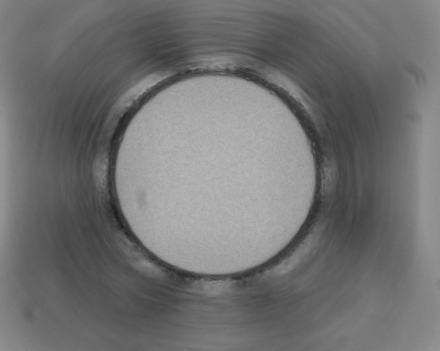 X0000113100778200910091138