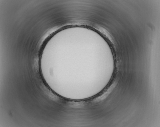 X0000113100781200910091138