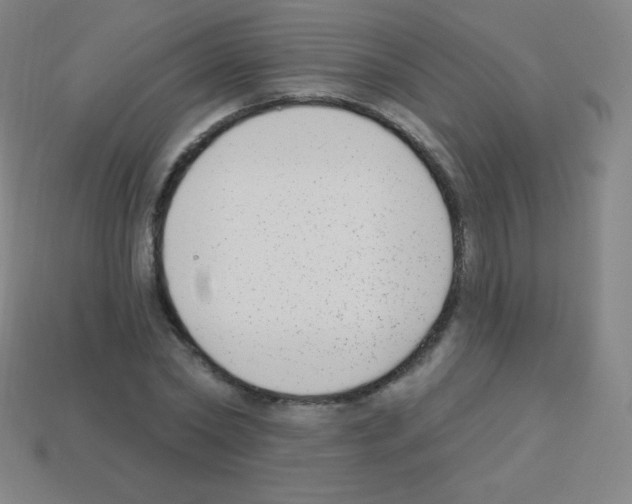 X0000113100782200910091138