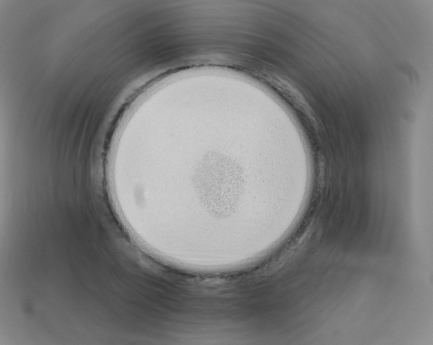 X0000113100784200910091138