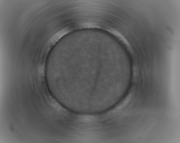 X0000113100785200910091138