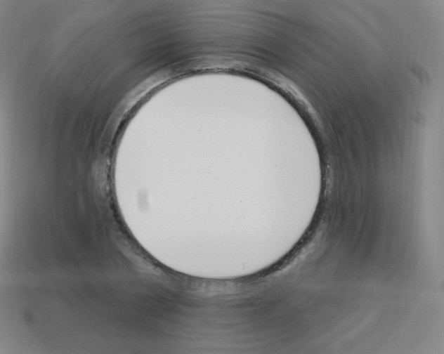 X0000113100786200910091138