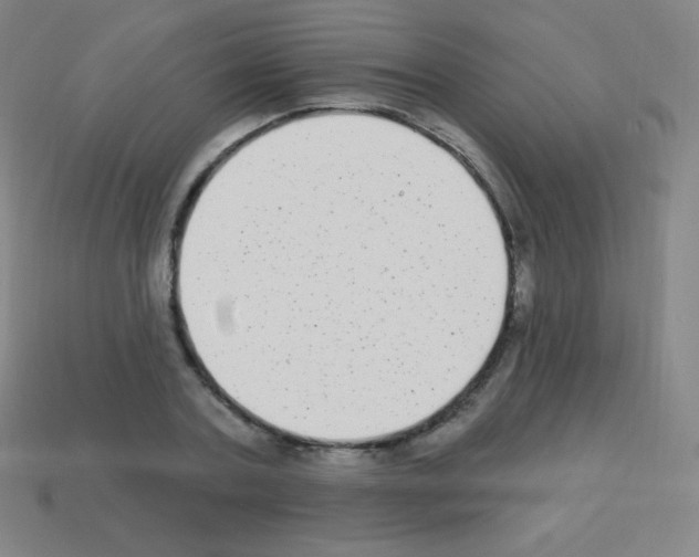 X0000113100787200910091138