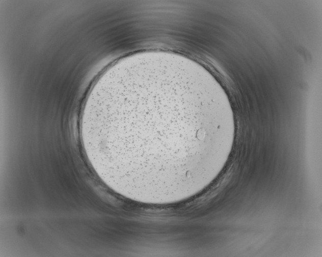 X0000113100788200910091138