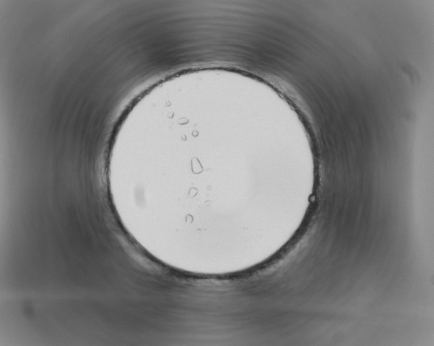 X0000113100789200910091138