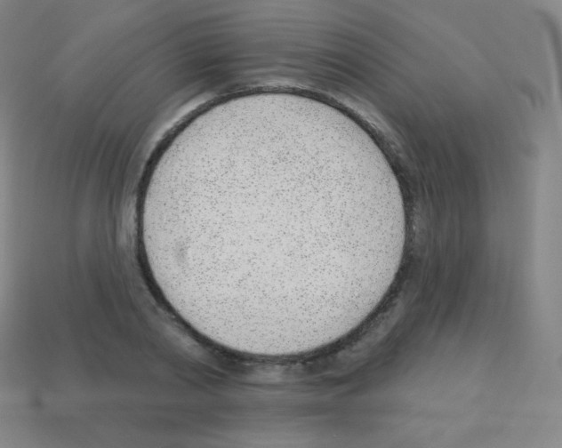 X0000113100790200910091138