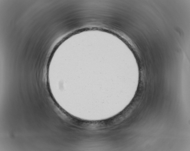 X0000113100791200910091138