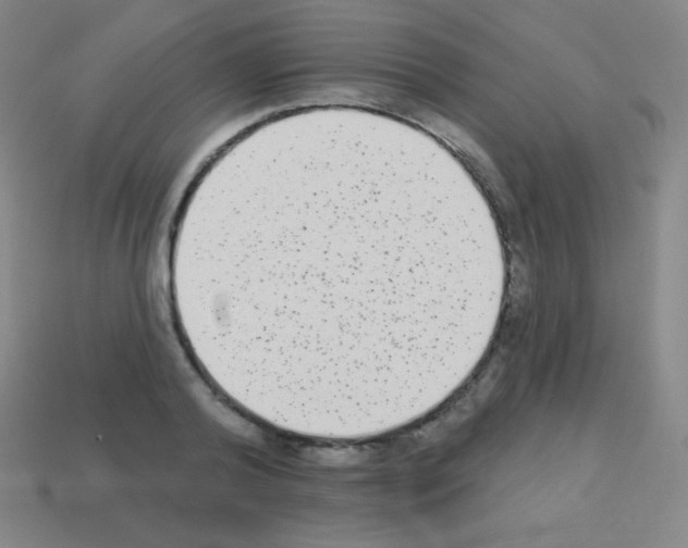 X0000113100792200910091138