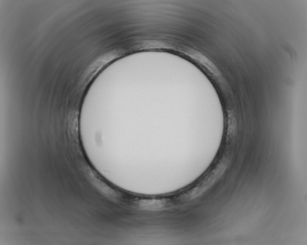 X0000113100793200910091138