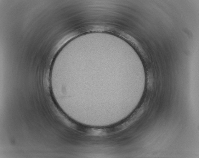 X0000113100794200910091138
