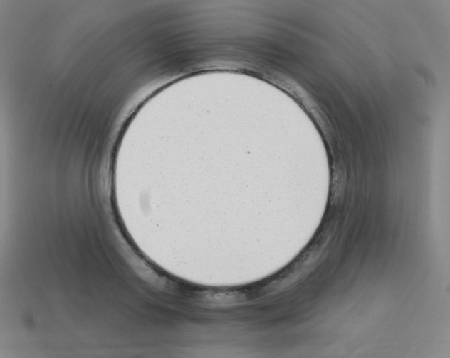 X0000113100795200910091138