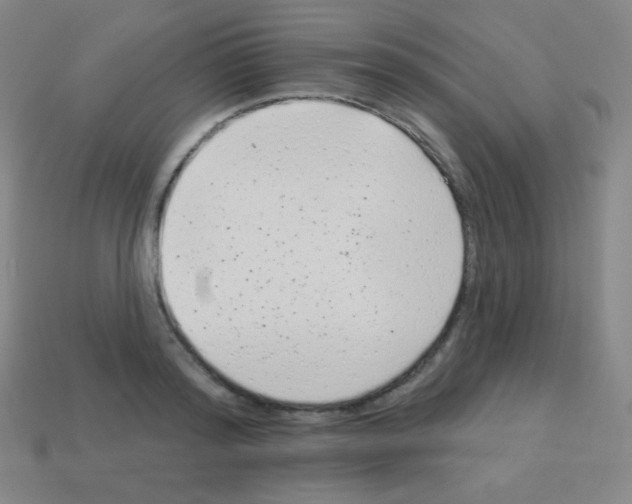 X0000113100796200910091138