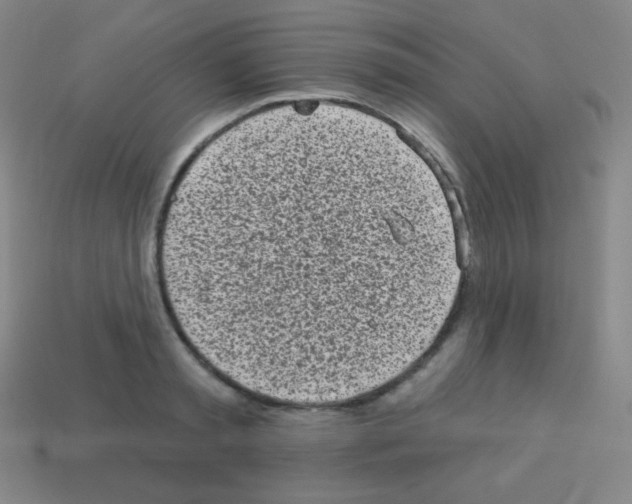 X0000113100797200910091138