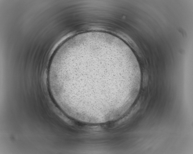 X0000113100798200910091138