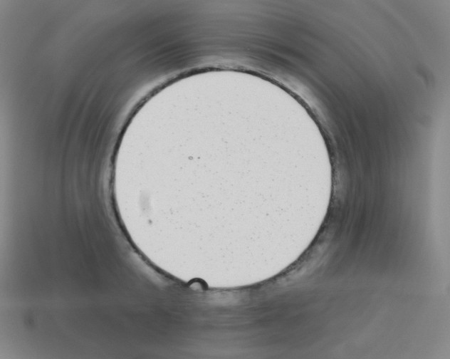 X0000113100799200910091138