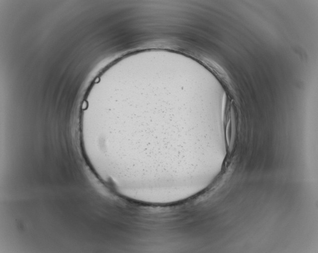 X0000113100800200910091138