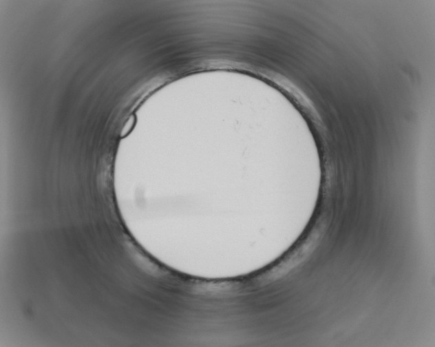 X0000113100801200910091138