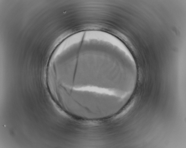 X0000113100802200910091138