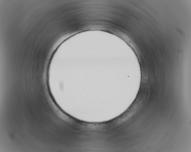 X0000113100803200910091138