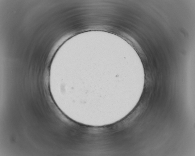 X0000113100804200910091138