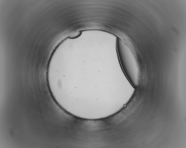X0000113100805200910091138
