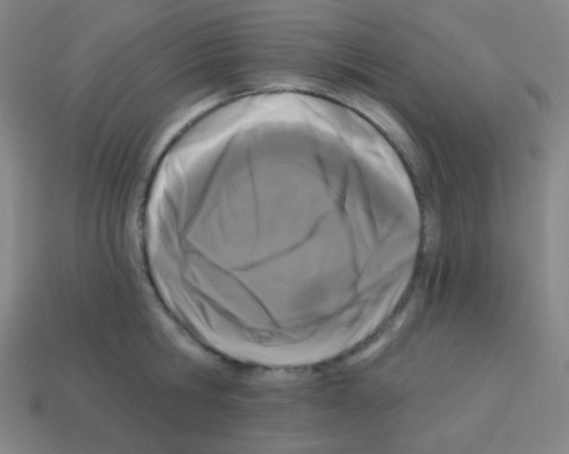 X0000113100806200910091138