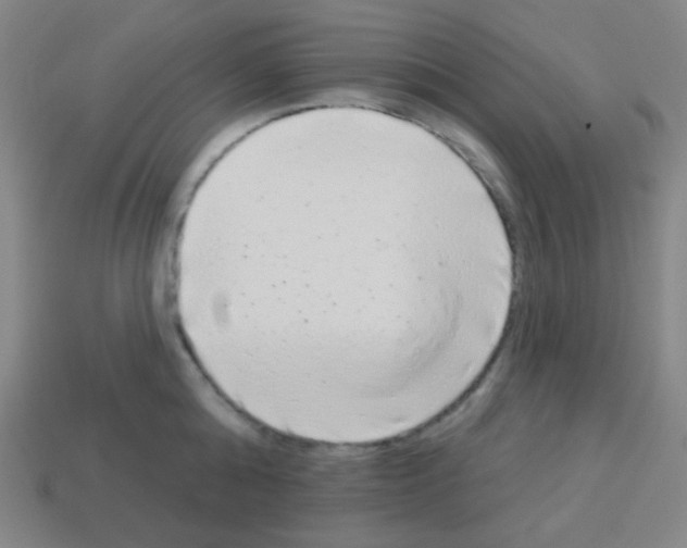 X0000113100808200910091138