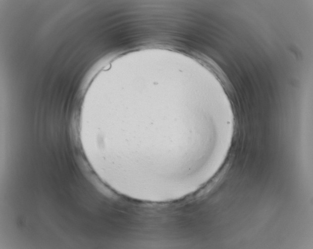 X0000113100812200910091138