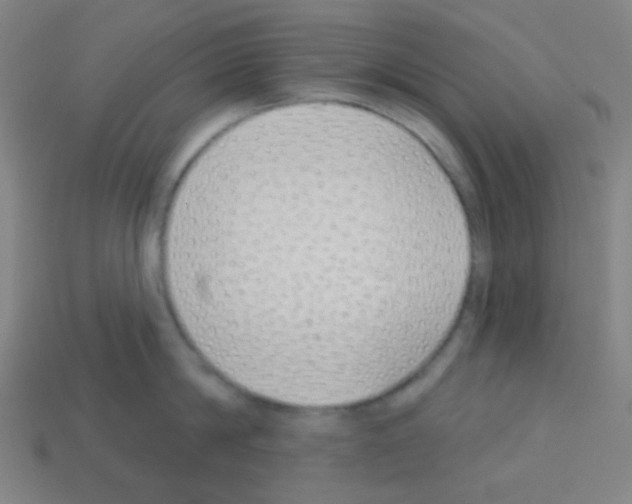 X0000113100814200910091138