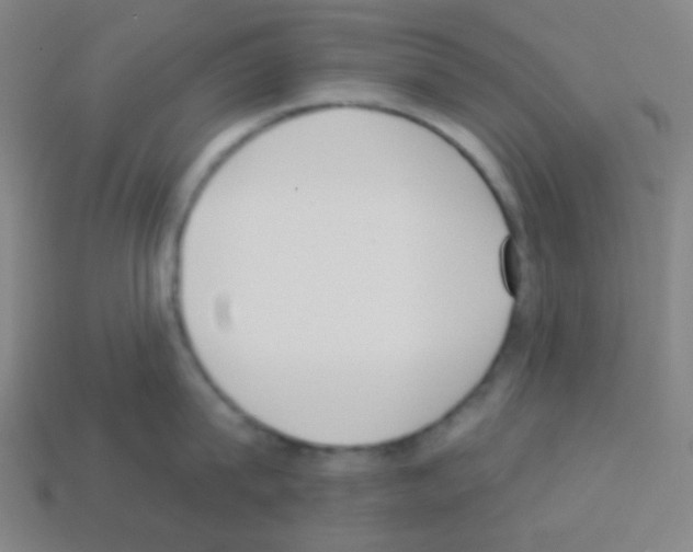 X0000113100815200910091138