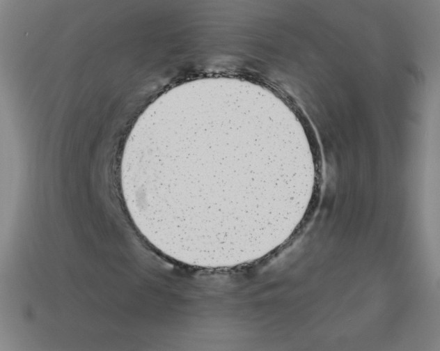 X0000113100817200910091137